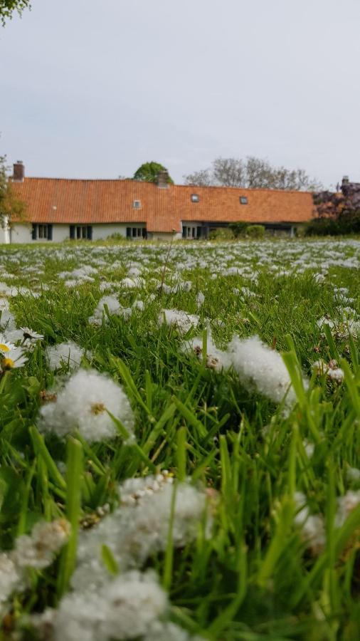 La Longere D'Ecottes Bed and Breakfast Licques Buitenkant foto